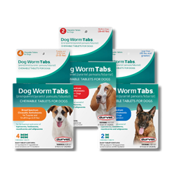 Durvet® Dog Worm Tabs 