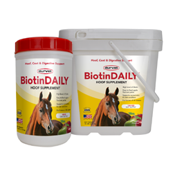 Durvet® BiotinDAILY™ Durvet®, BiotinDAILY, Biotin, Daily, easy, feed, pellet, form, hoof, digestive, supplement, formulated, provide, optimum, nutritional, support, normal, healthy, hooves, apple, flavored, palatability, palatable, flax, seed, alfalfa, base, High, level, Biotin, 320,mg, lb, pound, lbs, 20, mg, oz, maximum, Yea-Sacc®, 1026, assist, digestion, absorption, essential, nutrients, meal, source, amino, acids, minerals, vitamins, development, normal, skin, coat, condition, 2.5, size, 36, 72, day, supply