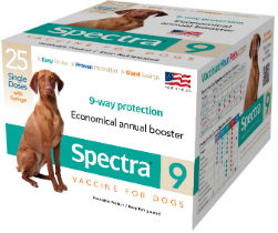 Canine Spectra® 9 Canine Spectra® 9, Durvet, Pet Supplies, dog supplies, canine vaccine, dog shots, puppy shots, 9-way dog vaccine, 
