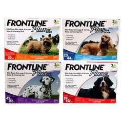 FRONTLINE® Plus for Dogs (Topical) FRONTLINE®, Plus, Dogs, Merial, Boehringer, Ingelheim, flea, tick, dog, kill, adult, fleas, pet, 24, hours, eggs, larvae, ALL, stages, developing, bothering, family, breaks, life, cycle, effectively, stopping, development, new, fleas 