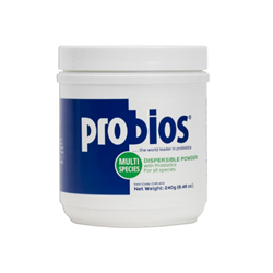 Probios® Dispersible Powder - 240gm Probios, Dispersible, Powder, mix, water, provide, source, lactic, acid, bacteria, multiple, species, maintain, appetite, digestive, health, care, weight, gain, prevent, scours, stock, livestock, cattle, goat, sheep, horse, equine, swine, dog, cat