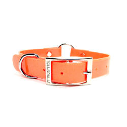 Valhoma® Hunting Collar w/ Center Ring (Plastic) Valhoma®, Hunting, Plastic, Collar, Center, Ring, dog, hunting, hot, orange, blaze, Plastic, coated, Biothane, Easy, clean, care, active, outdoor, dogs, 1", 16", 18",  20", 22", 24", lengths, width