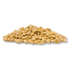5-E® Roasted Soybean 