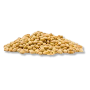 5-E® Roasted Soybean 