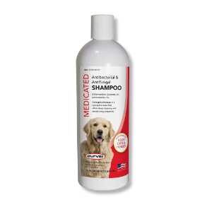 Medicated Antibacterial and Antifungal Shampoo 