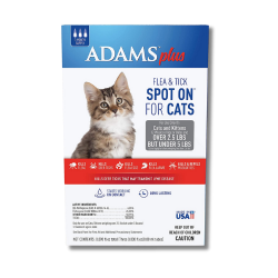 Curated visual reference: Gallery Detail: Flea Tick