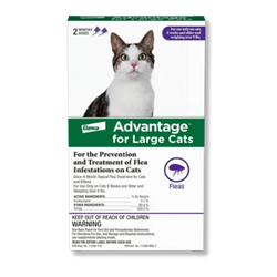 Advantage™ for Large Cats - 2 Monthly Doses 