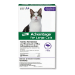Adventure® for Large Cats - 2 Monthly Doses - 611791