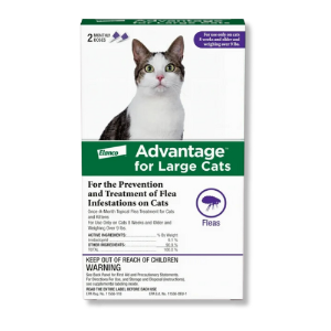 Adventure® for Large Cats - 2 Monthly Doses 