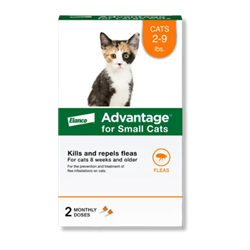 Advantage™ for Small Cats - 2 Monthly Doses 