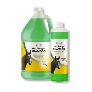 Durvet® Antifungal Equine Shampoo 