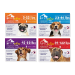 Apex™ Plus for Dogs (3 ct.) - T-00289