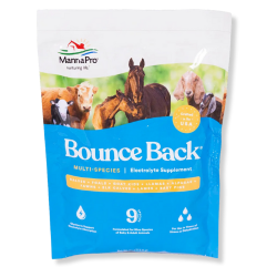 Manna Pro® Bounce Back Electroltes 4oz 