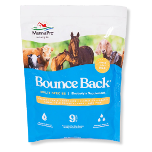 Manna Pro® Bounce Back Electroltes 4oz 