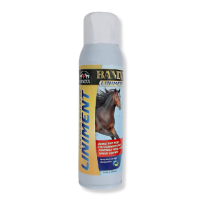 Sherborn Corp® Banixx Premium Analgesic Spray Liniment 13.2 oz. 