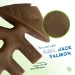 Benebone® Jack Salmon Fishbone Chew Toy - T-01213
