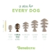Benebone® Jack Salmon Fishbone Chew Toy - T-01213