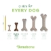 Benebone® Stick Chew Toy - T-01210