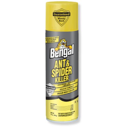 Bengal®  Ant & Spider Killer 