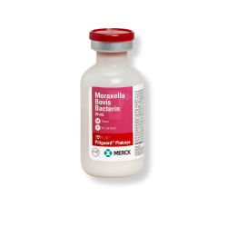 Merck® Piliguard Trivalent Pinkeye 