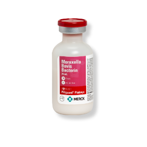Merck® BOVILIS Piliguard Pinkeye 