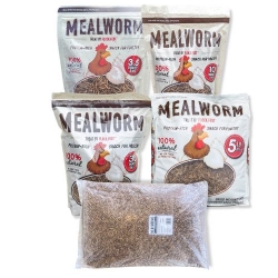 Buffalo® Flock Fest Mealworm 