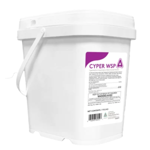 CSI® Cyper WSP 