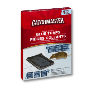 AP&G® CM Mouse & Insect Glue Traps 