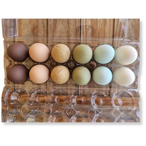Clay Concepts® Ceramic Pottery Mixed Eggs Dozen 