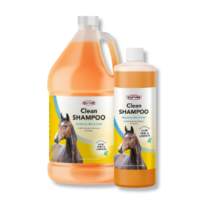 Durvet® Clean Equine Shampoo 