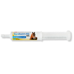 Durvet® Duragastric Equine Gel 80 ML 