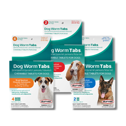 Durvet® Dog Worm Tabs 