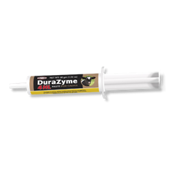 Durvet® DuraZyme 4HL Paste for Calves 