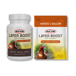Durvet® Layer Boost with Omega-3 Durvet®, Healthy, Flock®, Layer, Boost, Omega-3, Poultry, chicken, supplies, vitamins, electrolytes, layer, egg, quality, quantity, blend, vitamins, electrolytes, enzyme, omega, 3, Marigold, daily, use, source, live, viable, direct, fed, microorganisms, D3, easy, scoop, packet, per, gallon, drinking, water, soluble, products