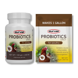 Durvet® Probiotics Daily Durvet®, Healthy, Flock®, Probiotics, Daily, Performance, Poultry, vitamins, electrolytes, live, viable, microorganisms, chicken, vitamins, source, avian, specific, probiotics, maintain, natural, healthy, gut, microflora, essential, vitamins, electrolytes, naturally, occurring, digestive, health, nutrients, absorption, easy, scoop, packet, per, gallon, drinking, water, soluble, products