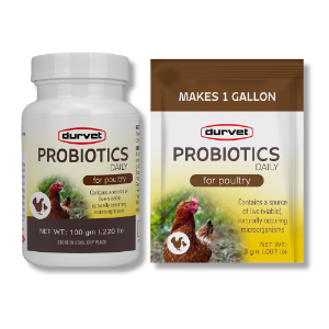 Durvet® Probiotics Daily Durvet®, Healthy, Flock®, Probiotics, Daily, Performance, Poultry, vitamins, electrolytes, live, viable, microorganisms, chicken, vitamins, source, avian, specific, probiotics, maintain, natural, healthy, gut, microflora, essential, vitamins, electrolytes, naturally, occurring, digestive, health, nutrients, absorption, easy, scoop, packet, per, gallon, drinking, water, soluble, products