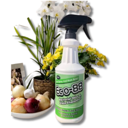 Specialty Cleaning® Eco-88 Bacterial Odor & Stain Eliminator 