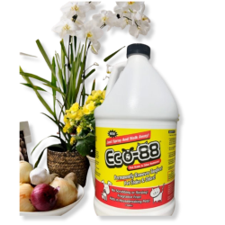 Specialty Cleaning® Eco-88 Pet Stain & Odor Remove - Gallon 