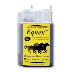 Essential® Feeds Equex 