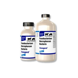 Elanco® Fusogard 100mL/50 ds footrot, Fusogard®, Footrot, infectious, disease, causes, swelling, lameness, feet, bacteria, Fusobacterium, necrophorum penetrate, healthy, intact, skin, abrasions, puncture, wounds, near, pasture, confinement, cattle, encounter, risk, factors, stones, frozen, dried, mud, stubble, wet, pens, cost, effective, antibiotics, bacterium, F. necrophorum, liver, Liver, abscesses, reduced weight gain