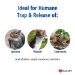 Havahart® Small 1-Door Live Animal Trap - 9241026