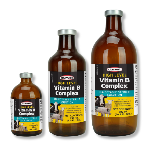 Durvet® High Level Vitamin B Complex 