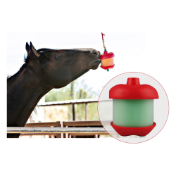 Jolly Pet® Horesemens Pride Jolly Stall Snack 