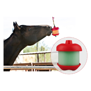 Jolly Pet® Horesemen's Pride Jolly Stall Snack 