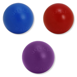 Jolly Pets® Push-N-Play 