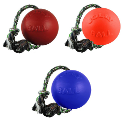 Jolly Pets® Romp-N-Roll Interactive Dog Toy 