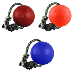 Jolly Pets® Romp-N-Roll Interactive Dog Toy 