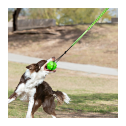 Jolly Pets® Tree Tugger 