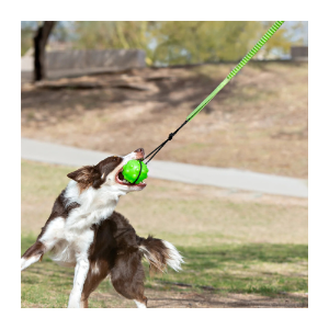 Jolly Pets® Tree Tugger 