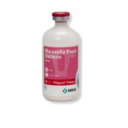 Merck® Bovilis Piliguard Pinkeye 